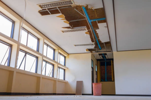 Best Water damage restoration insurance claims  in Bay Shore, NY
