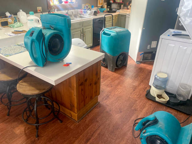Best Professional water damage repair  in Bay Shore, NY