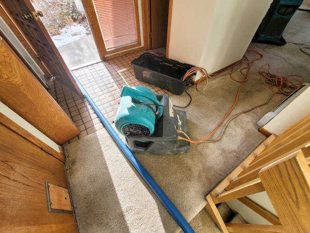 Best Water damage contractors near me  in Bay Shore, NY