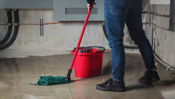 Best Sewage cleanup and water damage restoration  in Bay Shore, NY
