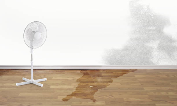 Best Professional water damage repair  in Bay Shore, NY