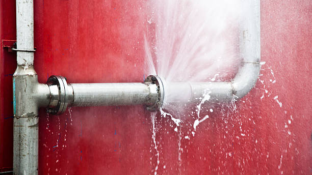 Best Water damage restoration mold remediation  in Bay Shore, NY
